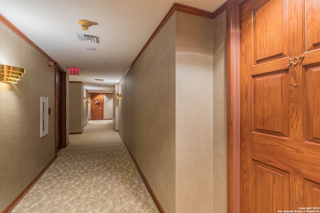 hallway with light carpet and crown molding