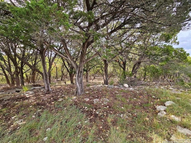 view of landscape