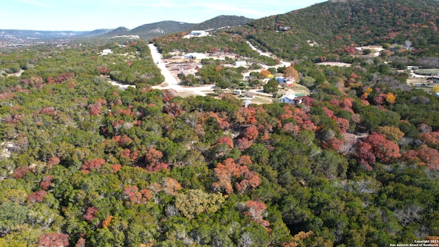 aerial view with a mountain view