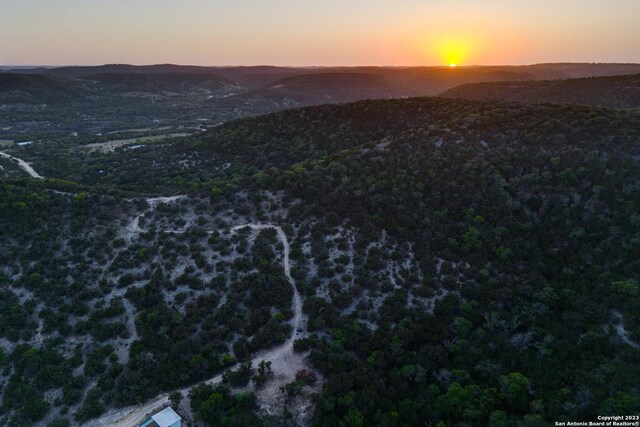 824 Juniper Rd, Tarpley, TX 78883