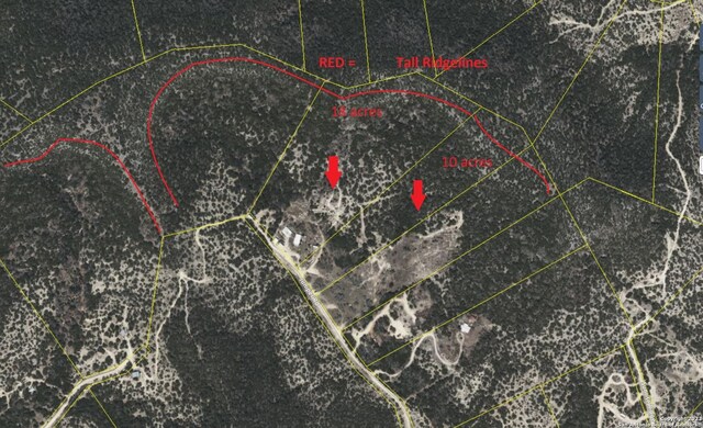 824 Juniper Rd, Tarpley, TX 78883