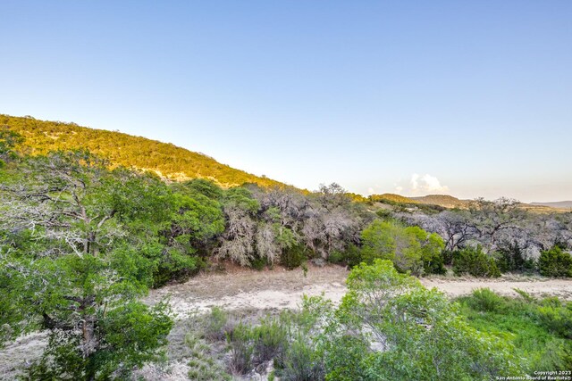824 Juniper Rd, Tarpley, TX 78883