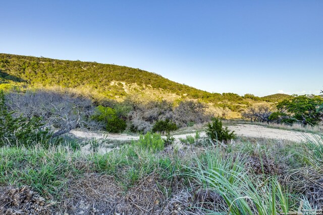 824 Juniper Rd, Tarpley, TX 78883