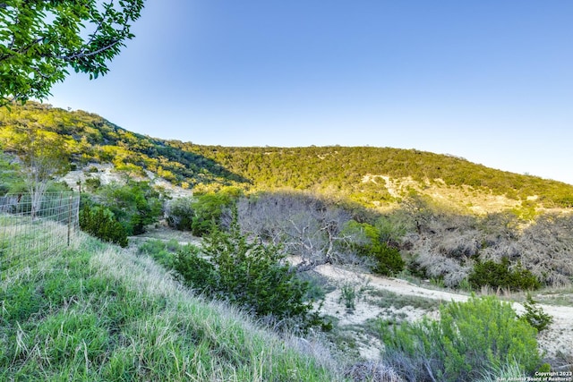 824 Juniper Rd, Tarpley, TX 78883