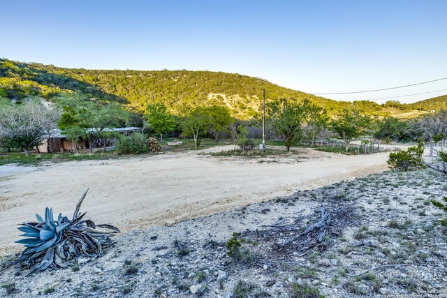 824 Juniper Rd, Tarpley, TX 78883