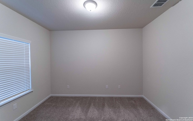 unfurnished room featuring carpet floors, a textured ceiling, and a healthy amount of sunlight