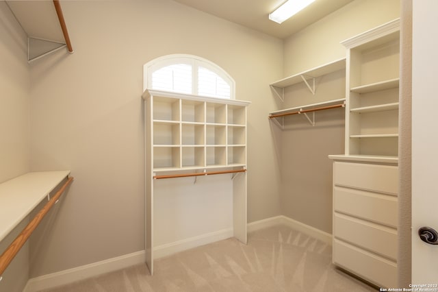 spacious closet with light carpet