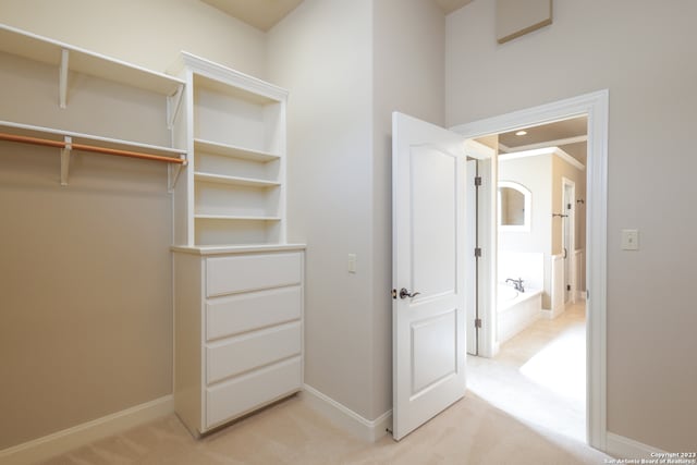 walk in closet featuring light colored carpet