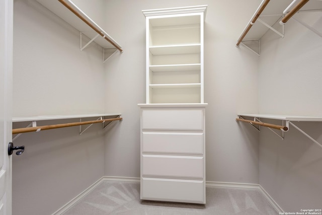 spacious closet featuring light carpet