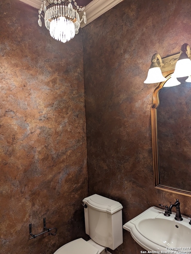 bathroom featuring sink, crown molding, and toilet