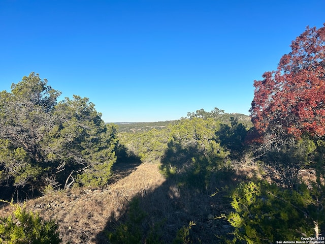 30130 Beck Rd, Bulverde TX, 78163 land for sale