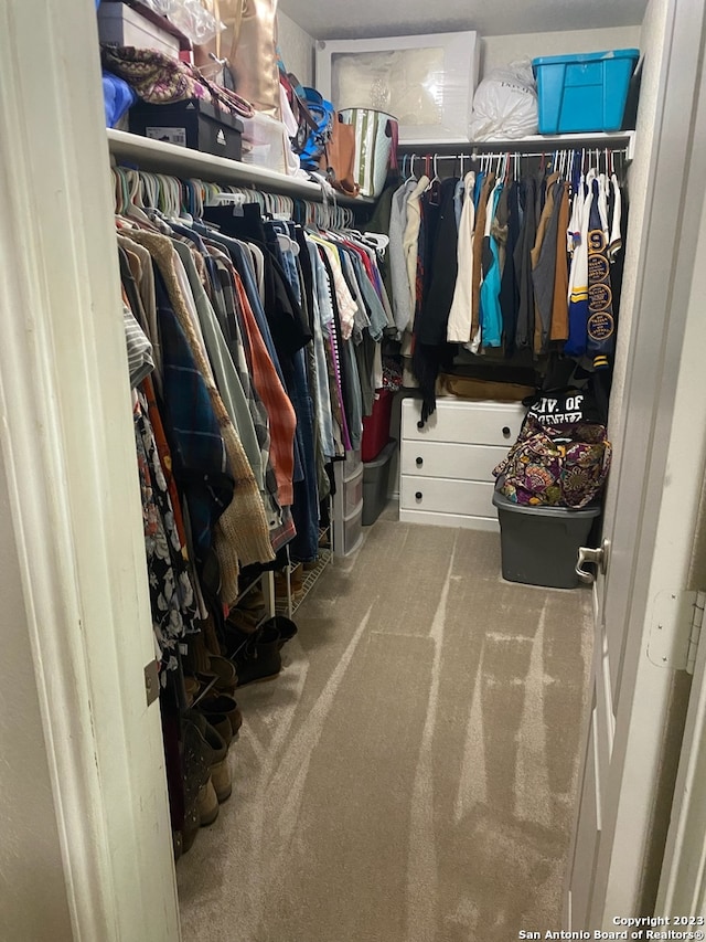 walk in closet with carpet