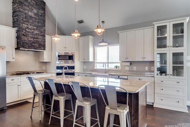 kitchen featuring dark hardwood / wood-style floors, appliances with stainless steel finishes, a kitchen island with sink, and sink