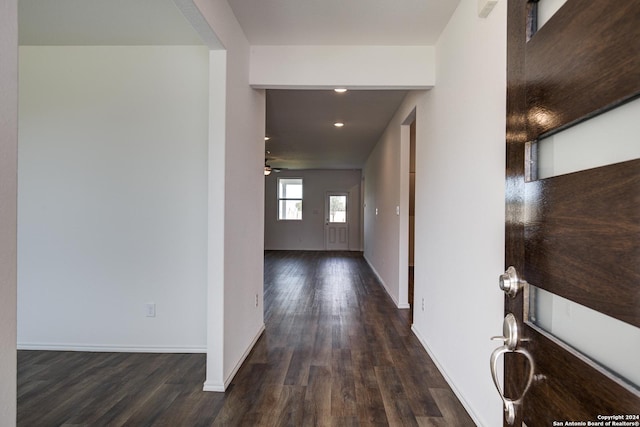 hallway featuring dark wood-type flooring