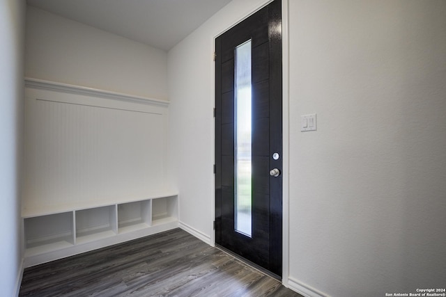 foyer with dark hardwood / wood-style flooring