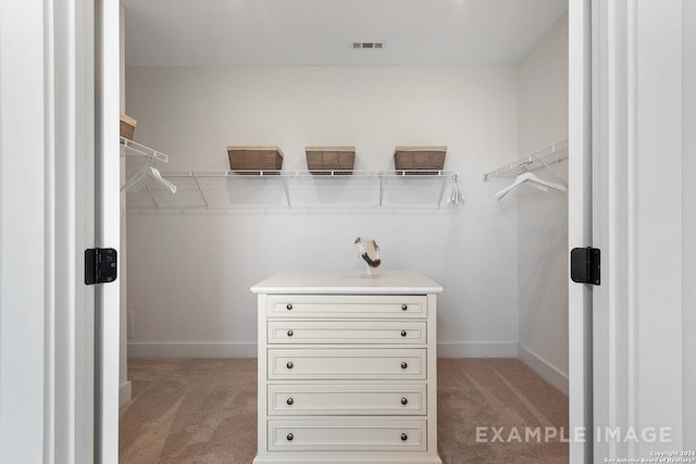 spacious closet with light colored carpet