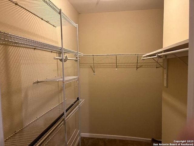 spacious closet featuring carpet