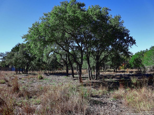 Listing photo 2 for LOT365 Palomino Spgs, Bandera TX 78003