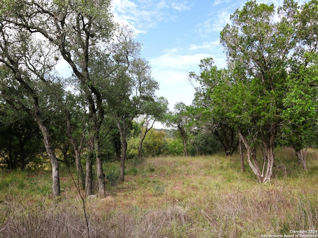 Listing photo 3 for LOT365 Palomino Spgs, Bandera TX 78003