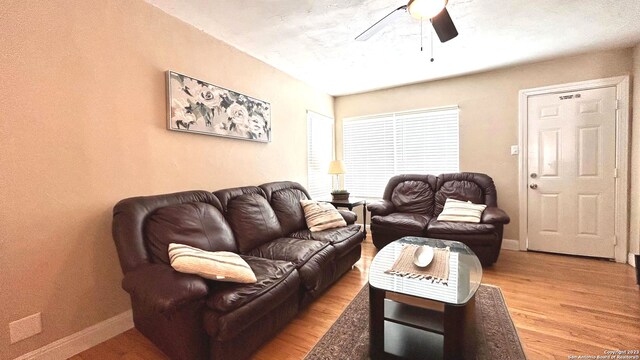 living room featuring ceiling fan and light hardwood / wood-style floors