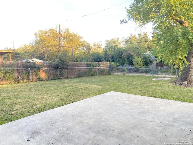 view of yard featuring a patio area