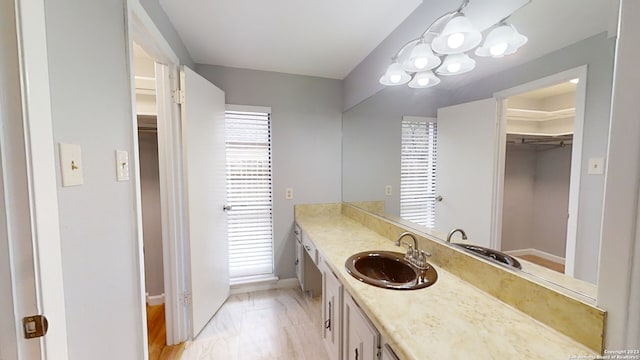 bathroom featuring vanity and wood-type flooring