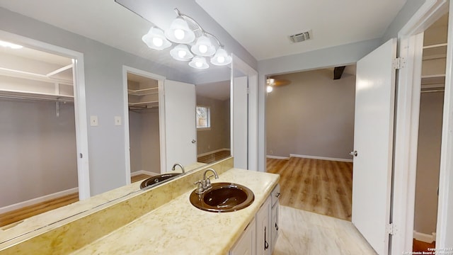 bathroom featuring wood-type flooring and vanity