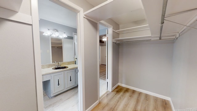 walk in closet featuring sink and light hardwood / wood-style floors