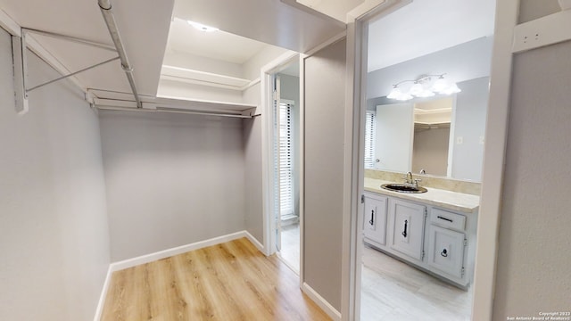 walk in closet featuring sink and light wood-type flooring