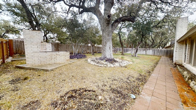 view of yard featuring a patio