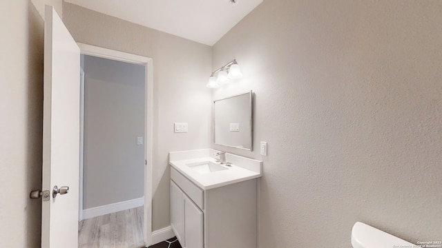 bathroom featuring vanity, wood-type flooring, and toilet