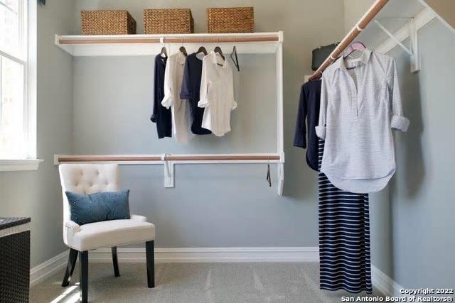 spacious closet featuring carpet flooring