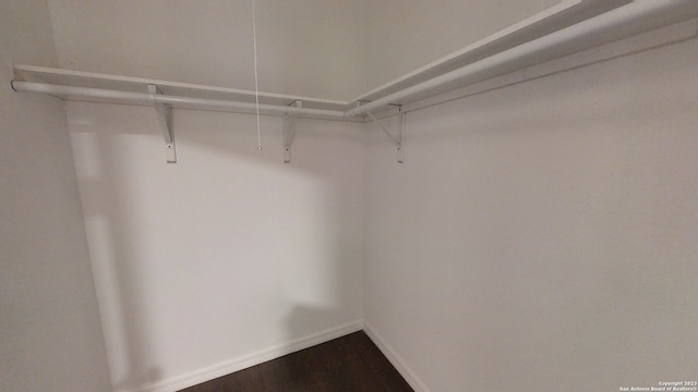 spacious closet featuring dark hardwood / wood-style flooring