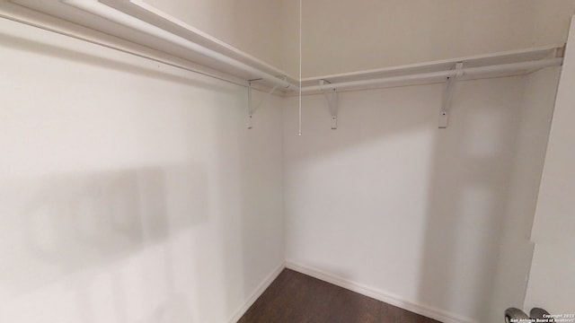 walk in closet featuring dark hardwood / wood-style flooring