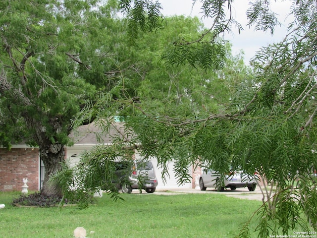 view of yard featuring a garage
