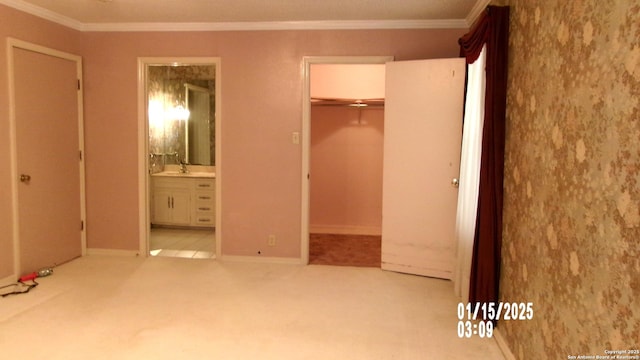 unfurnished bedroom with carpet flooring, a spacious closet, ornamental molding, and a sink