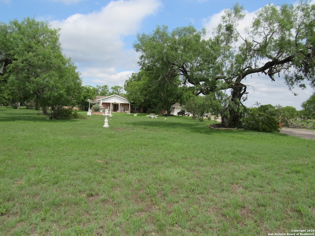 view of yard