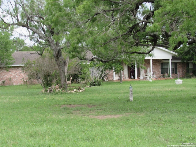 view of yard