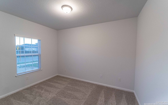 empty room featuring carpet