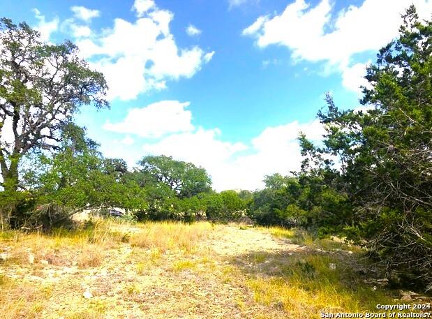 Listing photo 3 for LOT9 Blevins Pass, Pipe Creek TX 78063