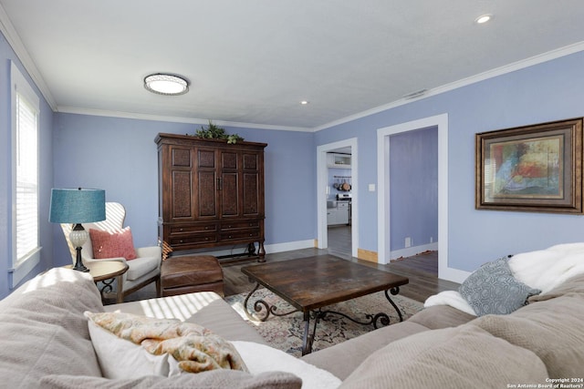 living room with wood-type flooring and crown molding