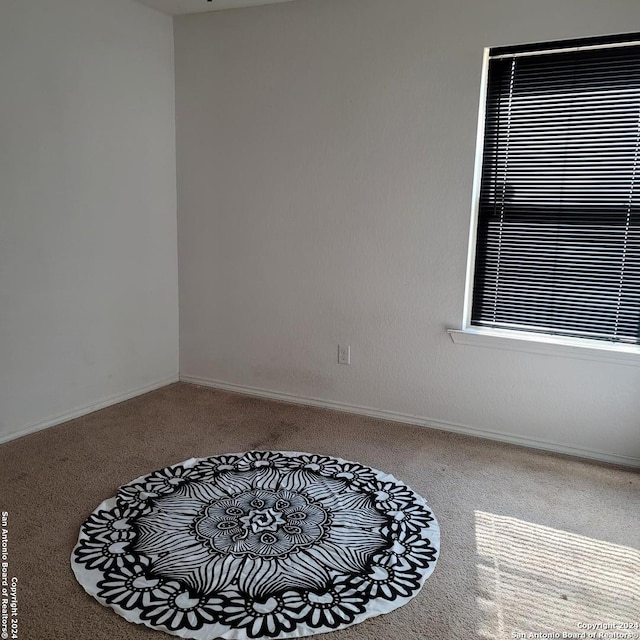 empty room featuring carpet floors