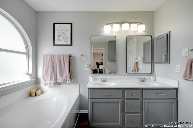 bathroom featuring vanity and a bathing tub