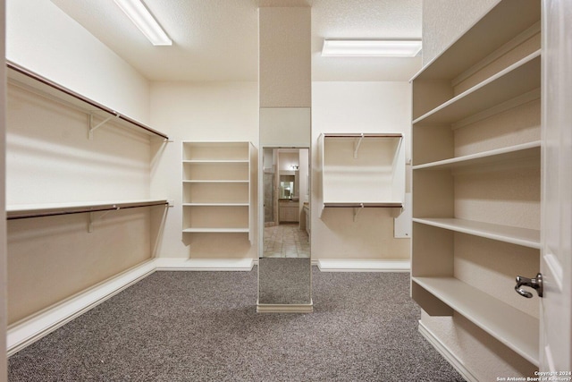 spacious closet with carpet flooring