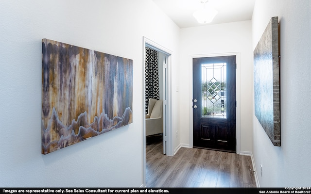 entrance foyer with light hardwood / wood-style flooring