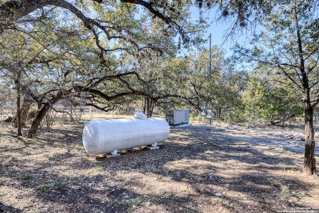 view of yard with a storage unit