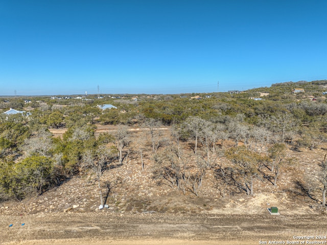 Listing photo 3 for 34757 Carries Creek Dr, Bulverde TX 78163