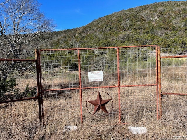 Listing photo 3 for 696 Chili Canyon Rd, Tarpley TX 78003