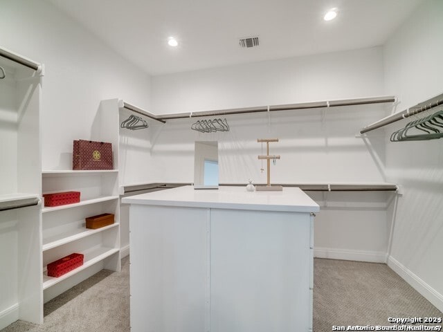 spacious closet with light carpet