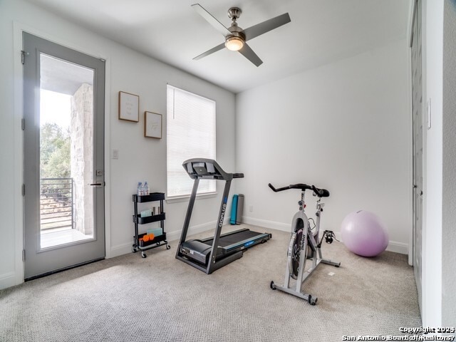 exercise area with a healthy amount of sunlight, ceiling fan, and light colored carpet